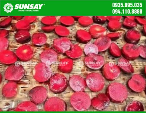 Máy sấy mận SUNSAY