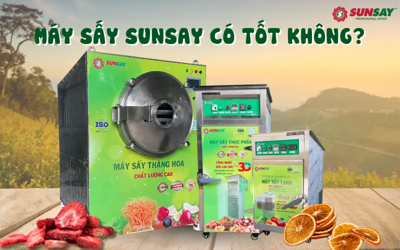 Máy sấy SUNSAY có tốt không?