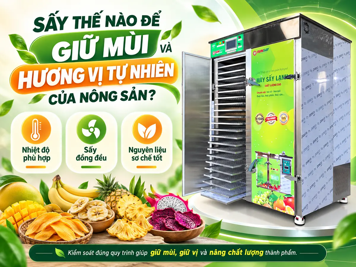 Sấy thế nào để giữ mùi và hương vị? Phân tích nguyên nhân thất thoát hương, cách kiểm soát sơ chế, nhiệt, thời gian, oxy và bao bì sau sấy.