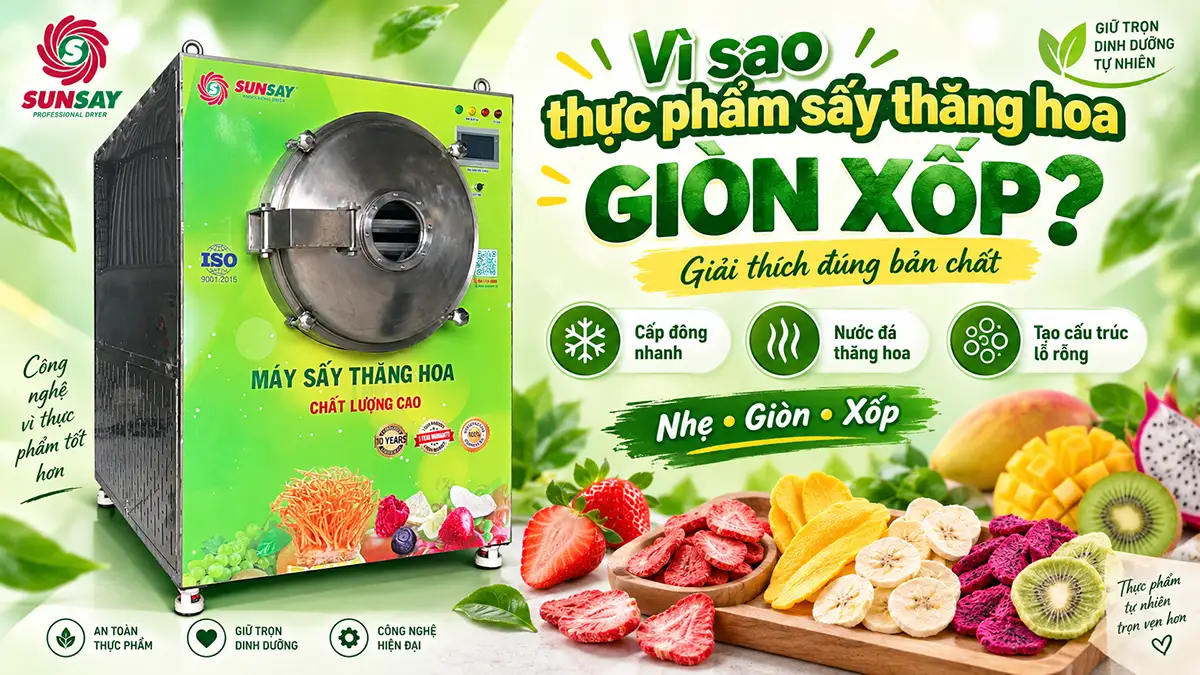 Vì sao sản phẩm sấy thăng hoa giòn xốp? Giải thích đúng bản chất