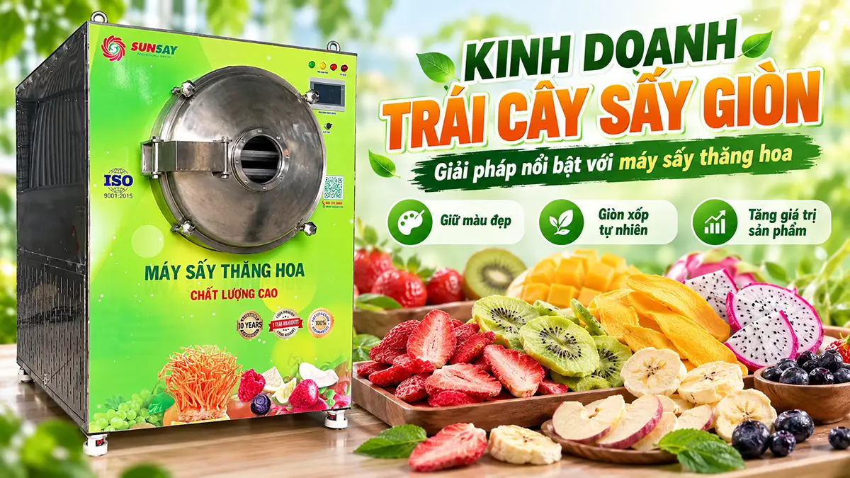 Có nên đầu tư máy sấy thăng hoa kinh doanh trái cây giòn?